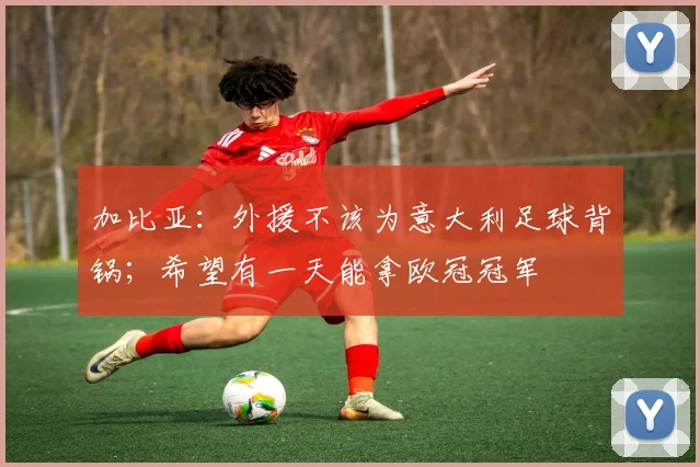 加比亚：外援不该为意大利足球背锅；希望有一天能拿欧冠冠军